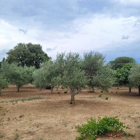 Milanko Apartmán Muskovci