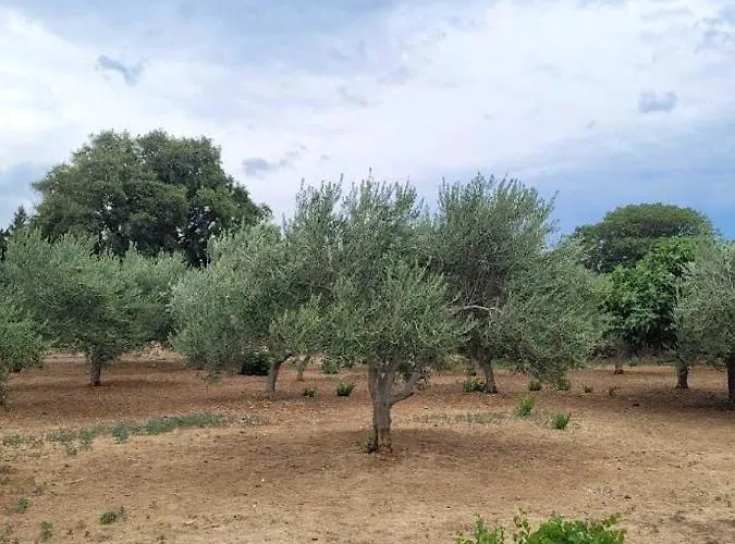 Milanko Apartman Muskovci